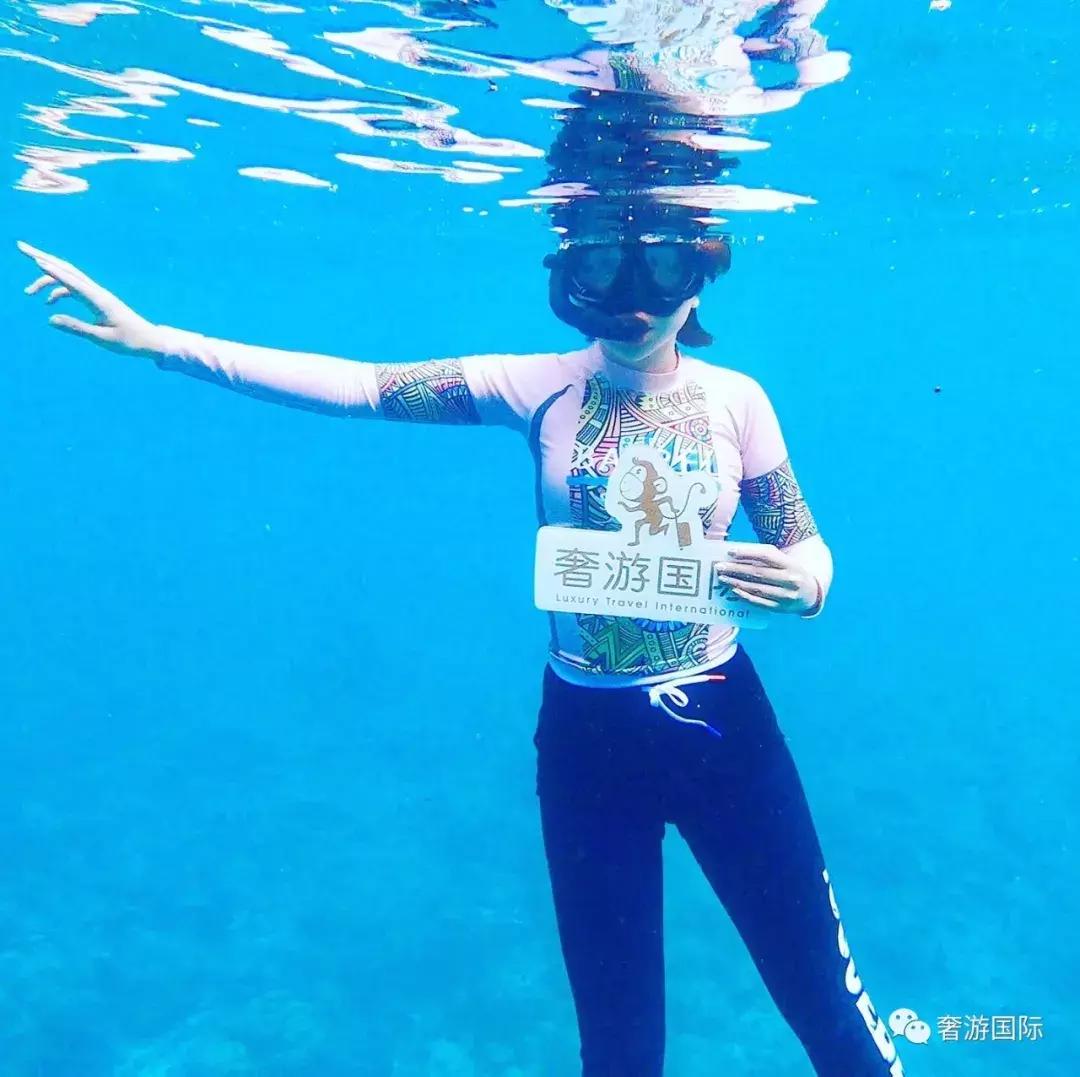 马尔代夫jv岛攻略,马尔代夫v岛