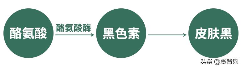 肾衰竭透析皮肤变黑怎么改善,肾透析后皮肤很干燥怎么办