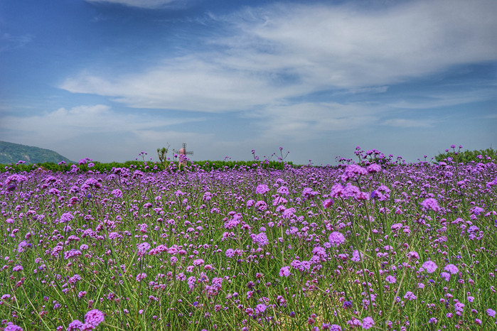 浙江舟山群岛桃花岛三天行程安排,浙江舟山群岛旅游桃花岛