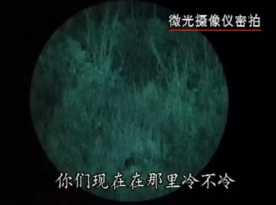 “你们吸毒的偶像可以复出,我们牺牲的战友可以复活吗?”