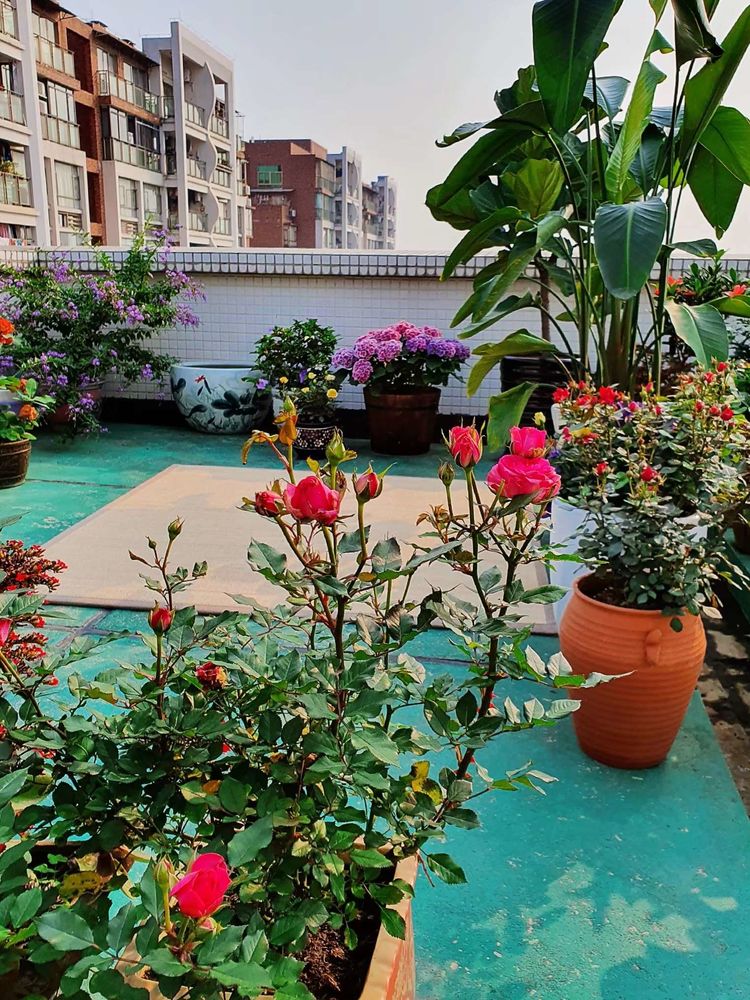 15平米露台改造成功案例,50平方楼顶改造露台和花园