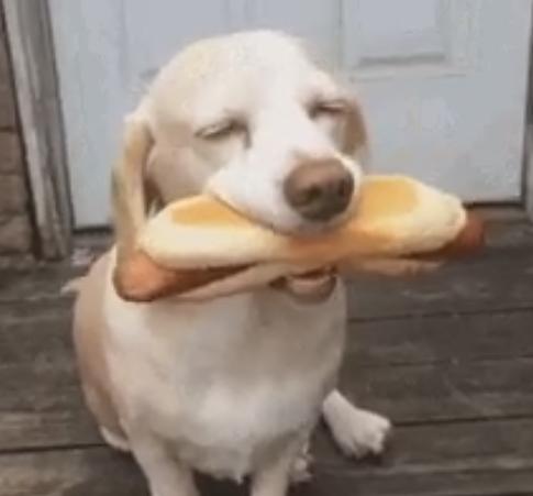 烤肠犯了什么罪？WWE冠军疯狂声讨烤肠引大批网友调侃！