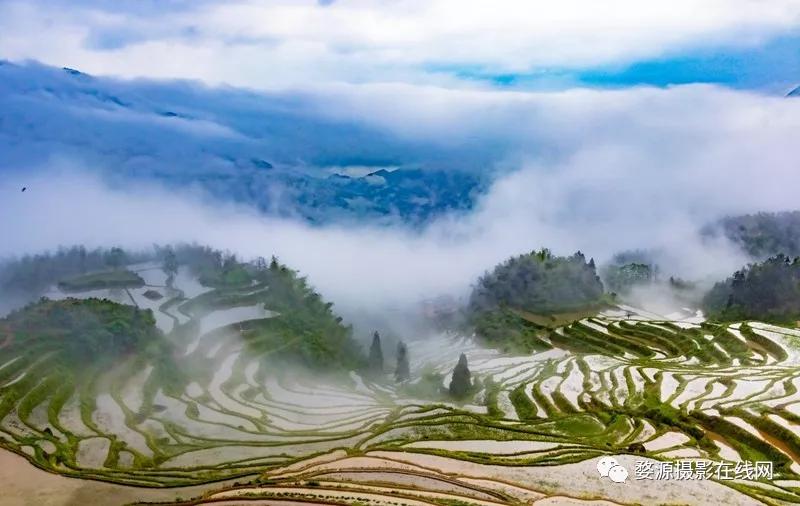 中国山水画摇篮,楠溪江为什么叫山水画摇篮