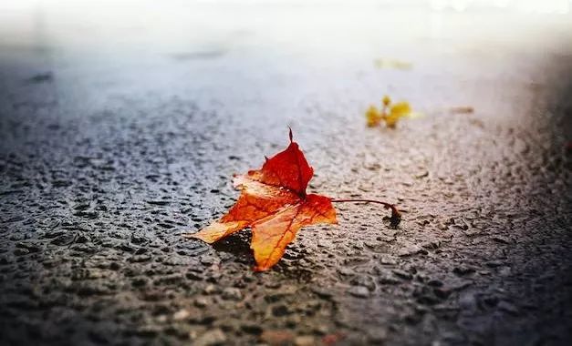 一双鞋悟出人生道理,一双鞋子能悟出人生深度好文