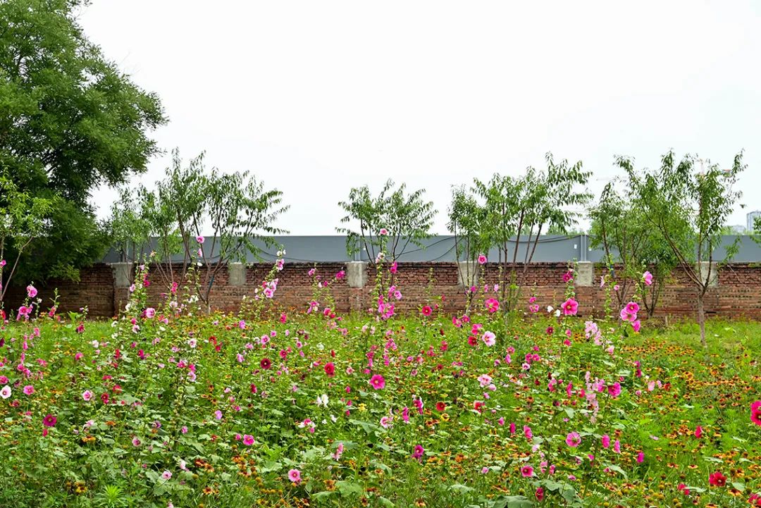 海淀区即将开放的公园,海淀新建的公园