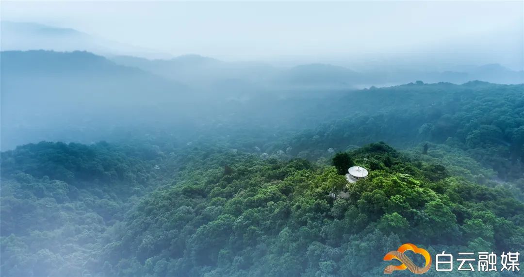 白云区好的初中排名榜,白云区成绩排名