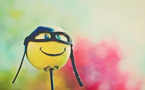 seetheelephant,seeingtheelephant