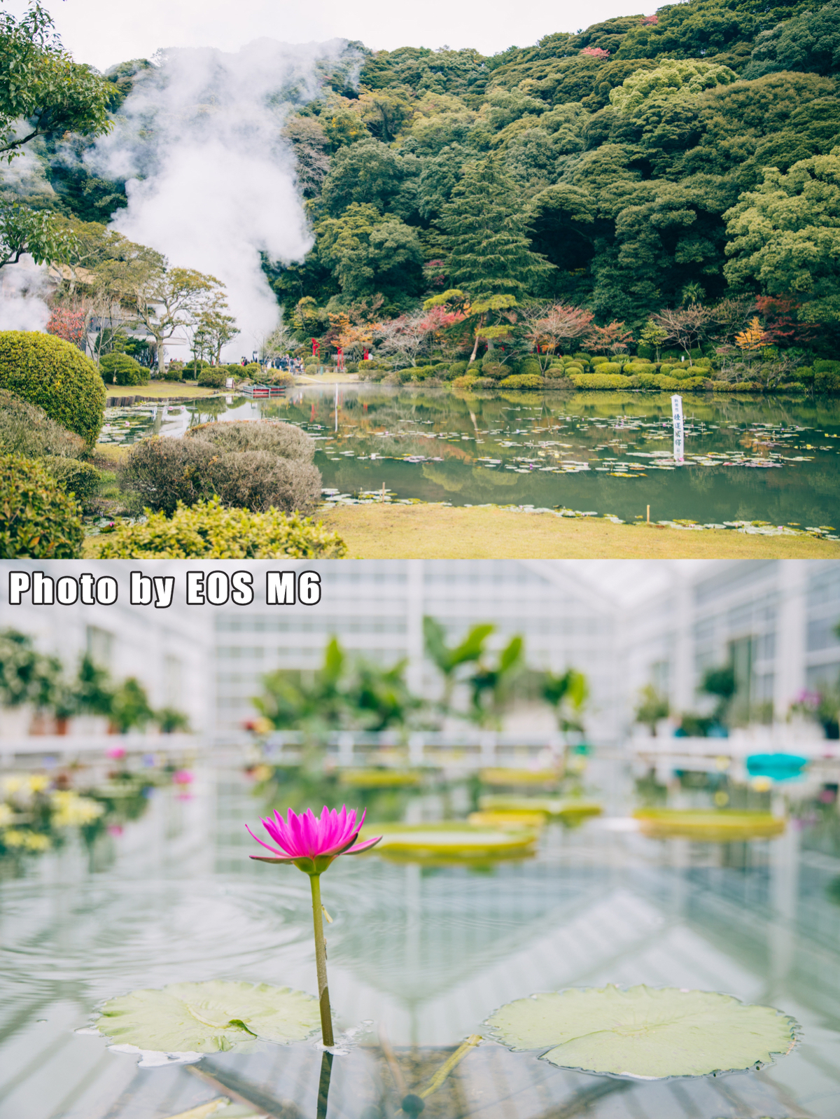 日本九州温泉旅游攻略,日本温泉大攻略