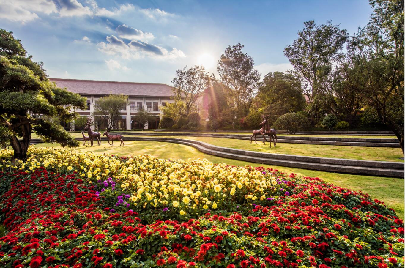 云南有哪些旅游景点分别在哪个市,云南最受欢迎的景点