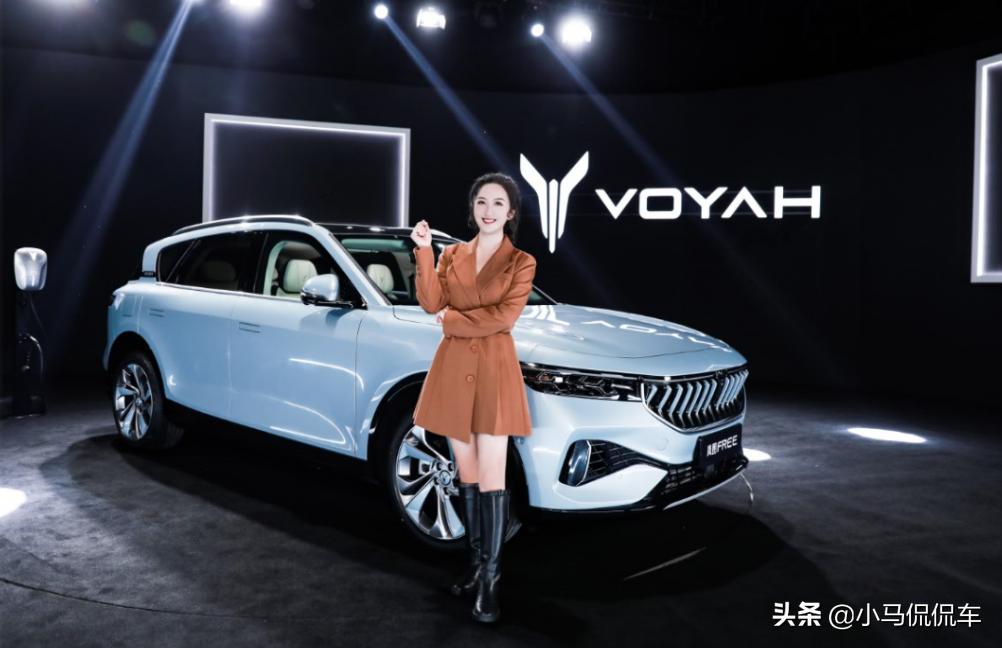 岚图三款车型,东风岚图商务车7座价格