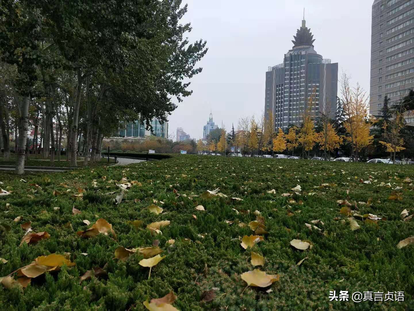 周长行原创散文丨蜗居：最漂亮的恋爱姿态