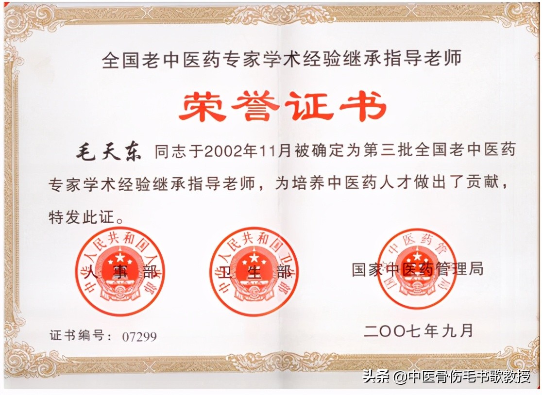 洛阳正骨非遗传承,非物质文化遗产中医传统正骨技艺