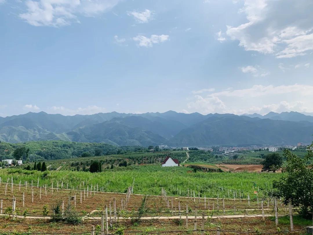 渭南丹凤葡萄酒厂新闻报道,西安客户来考察