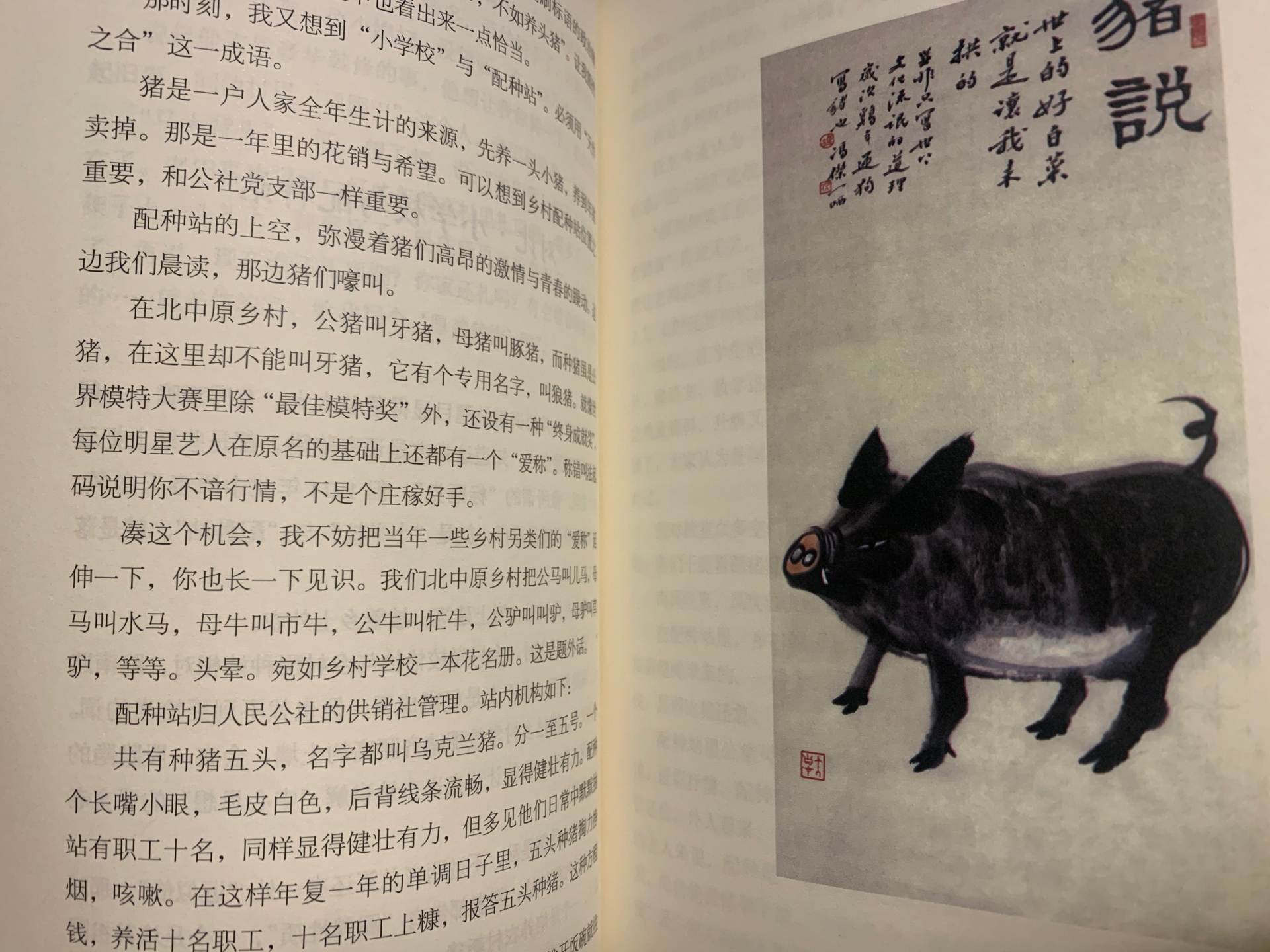 最是乡情难舍在心间，恰是人生缘起处——读冯杰，忆往事