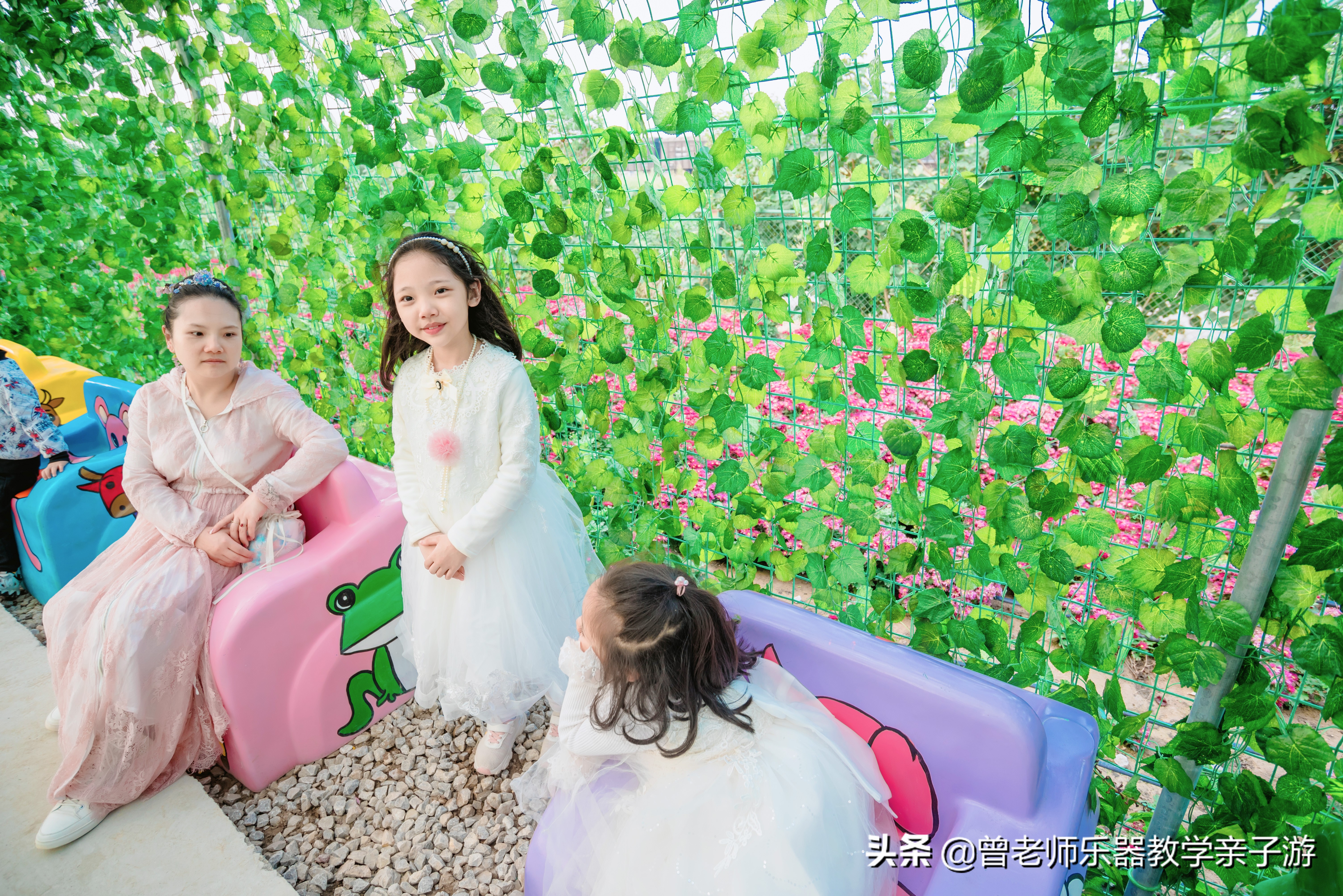 爱菊研学游,爱菊丝路文化菊花园西安