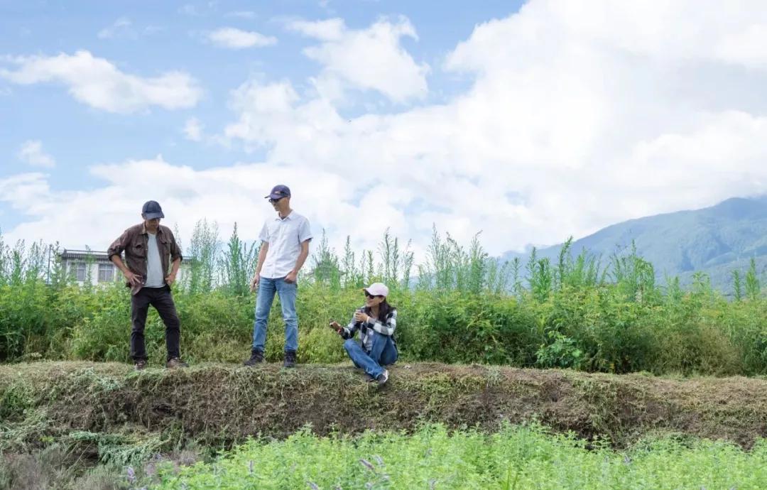 让农业真正回归照顾生命