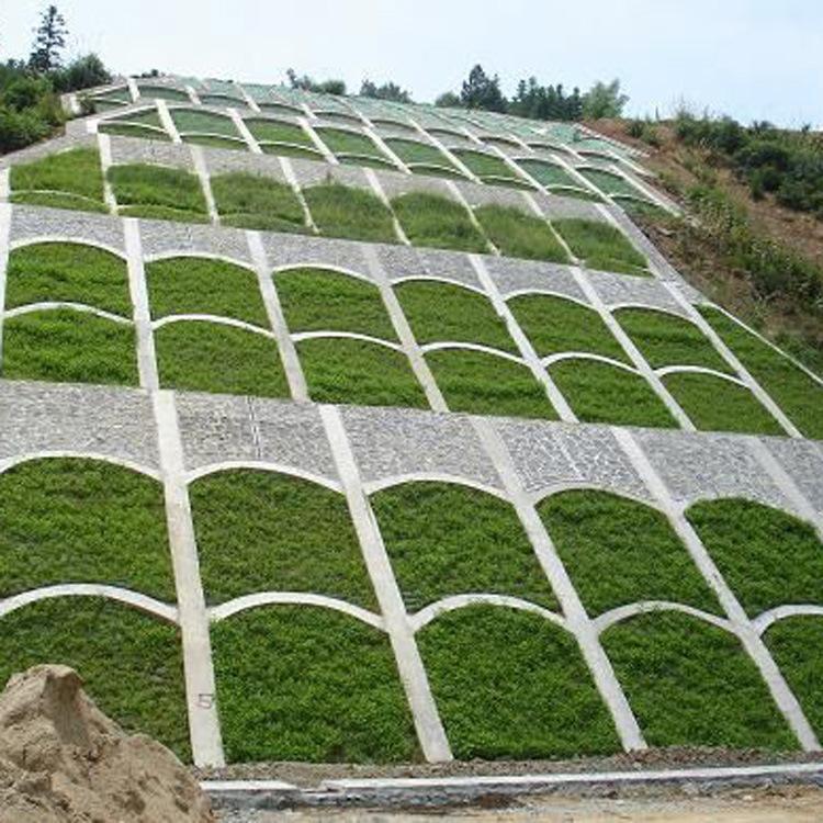 绿化草坪种植方法视频大全,绿化草坪的种植方法