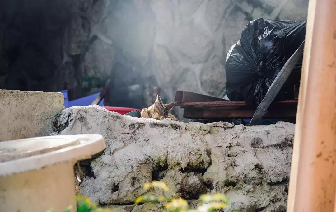 深圳银湖山游玩,深圳银湖有什么好玩的地方