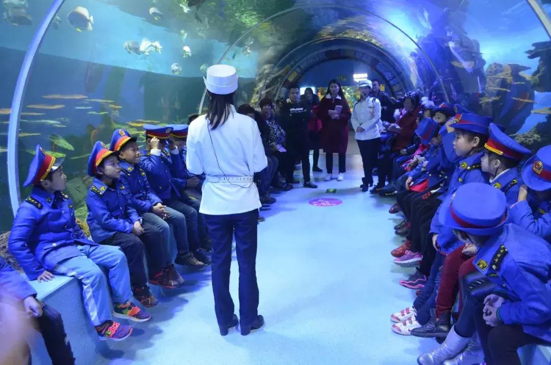 临沂海洋世界优惠券,临沂海洋世界特惠票