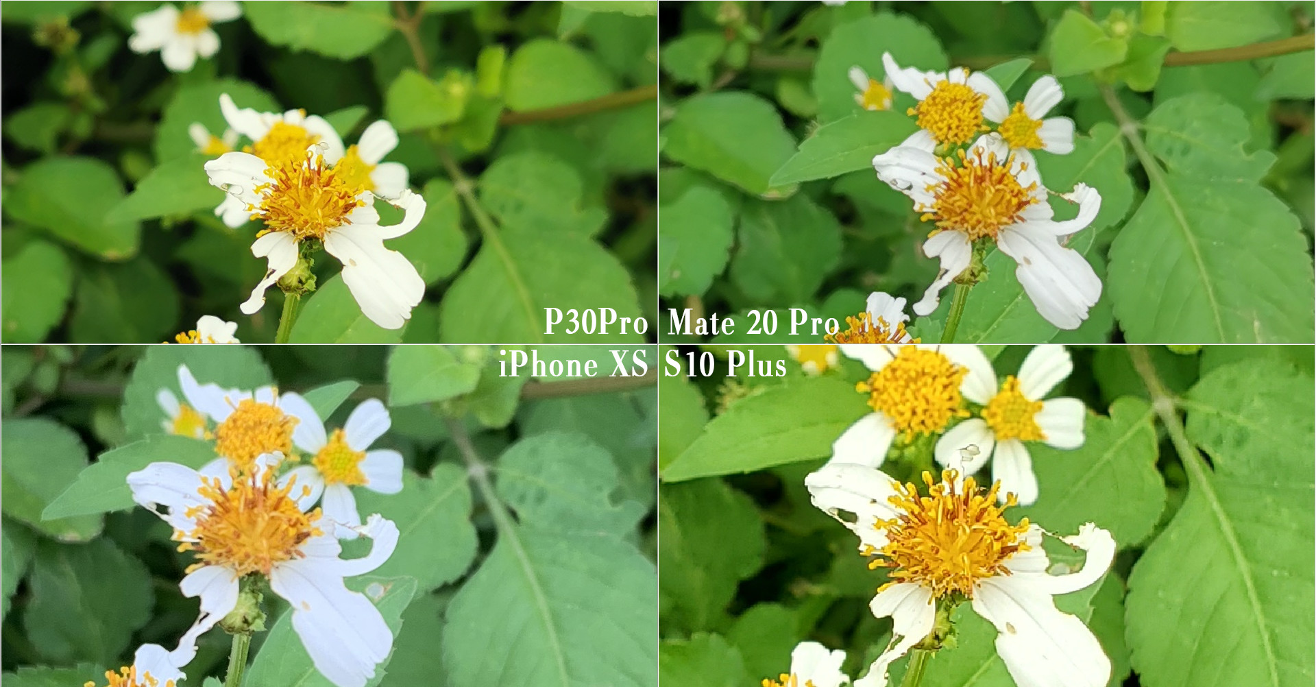 能打电话的相机,能打电话能拍照的手机