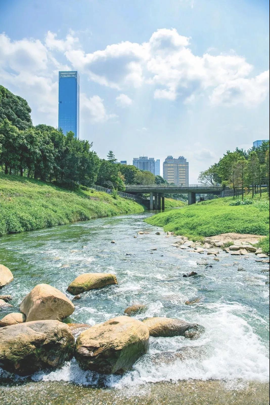 深圳遛娃必去景点免费过年,深圳适合儿童游玩的公园