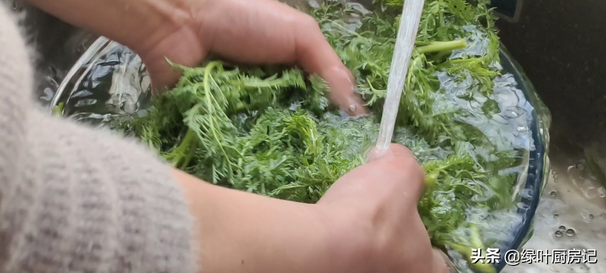 野菜米蒿的做法,野菜米米蒿蒸多长时间