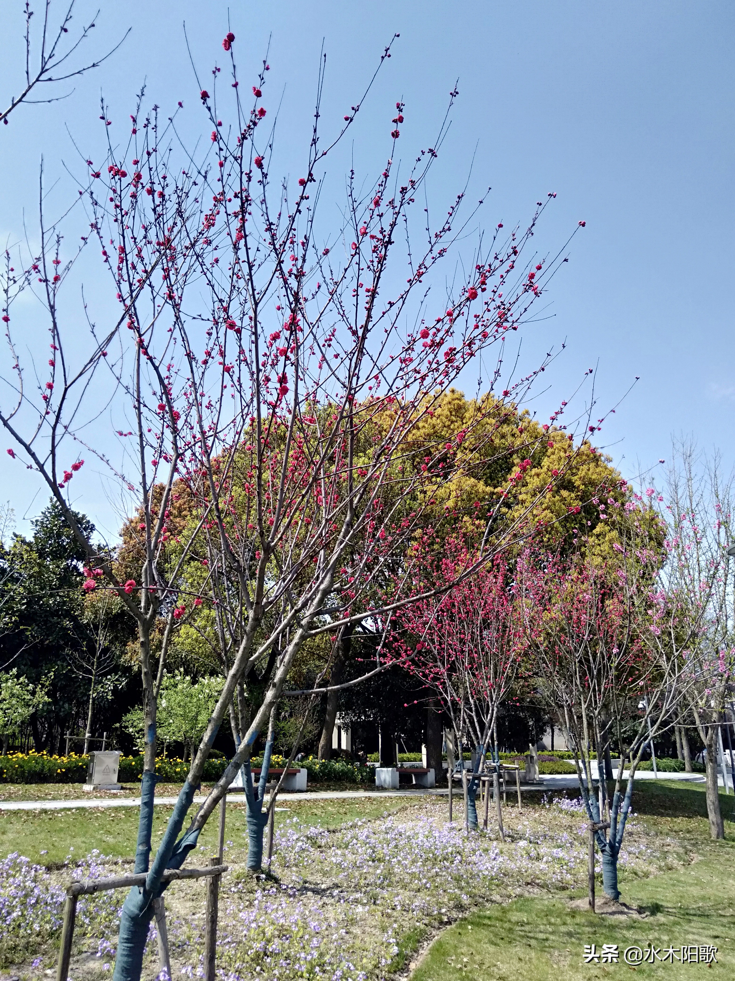 关于供销合同的法律常识,发票供销流程