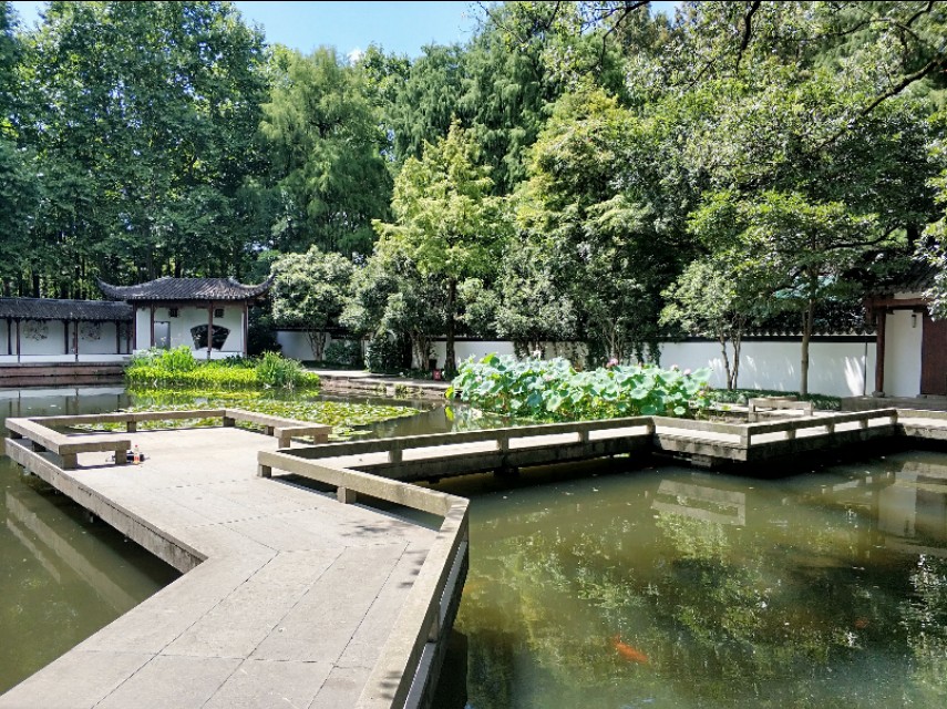 杭州西湖景点郭庄视频,杭州郭庄园林