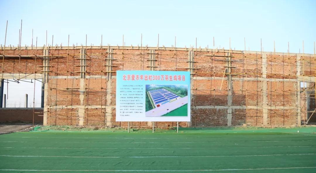 聚焦新旧动能转换聚焦乡村振兴,聚焦枣庄新旧动能转换项目推进会