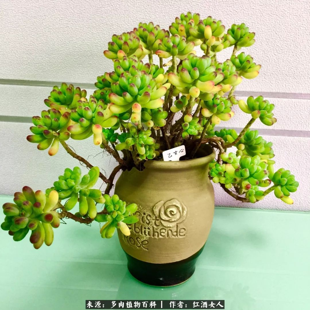 记录走过的美景留下美好的回忆,记录走过的每一段美好时光