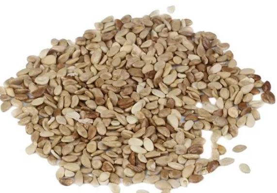 葫芦怎么种植在阳台上,葫芦怎么种植全过程