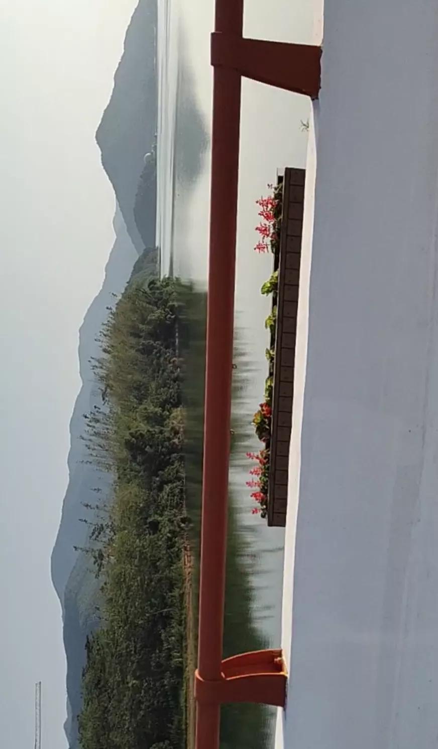 宁波镇海钓鱼野钓最新地点,宁波九龙湖水库钓鱼攻略