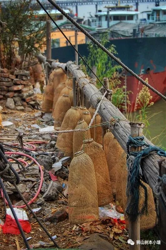 佛山狮山镇水上村,探访老渔村