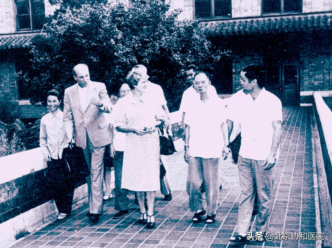 北京协和医院耳鼻喉科专家高志强,高志强主任