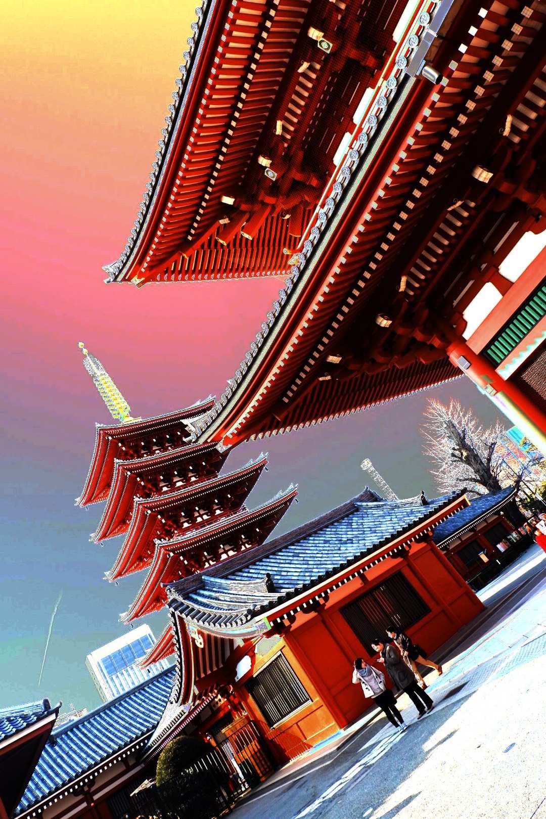 去了日本京都奈良三日游,东京大阪7天游攻略多少钱