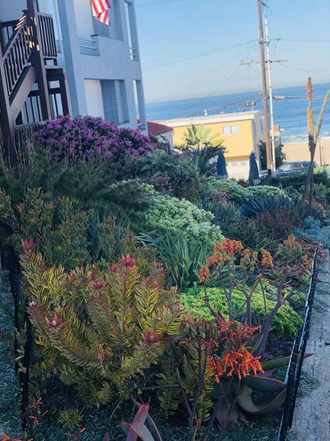 美国洛杉矶旅游七日游费用,去美国洛杉矶15天的旅游行程