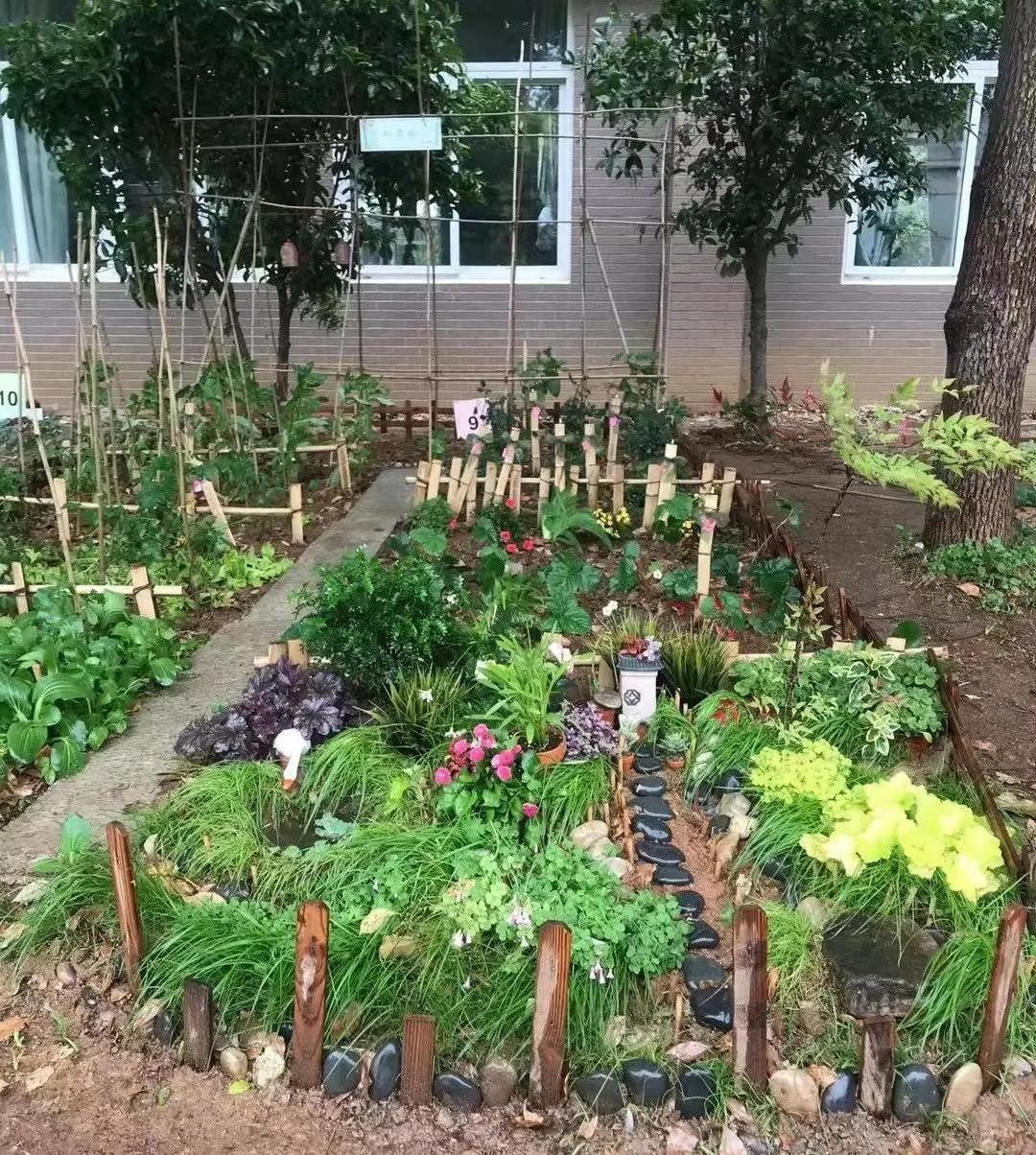 最美的风景美丽的校园,最美的风景就是校园