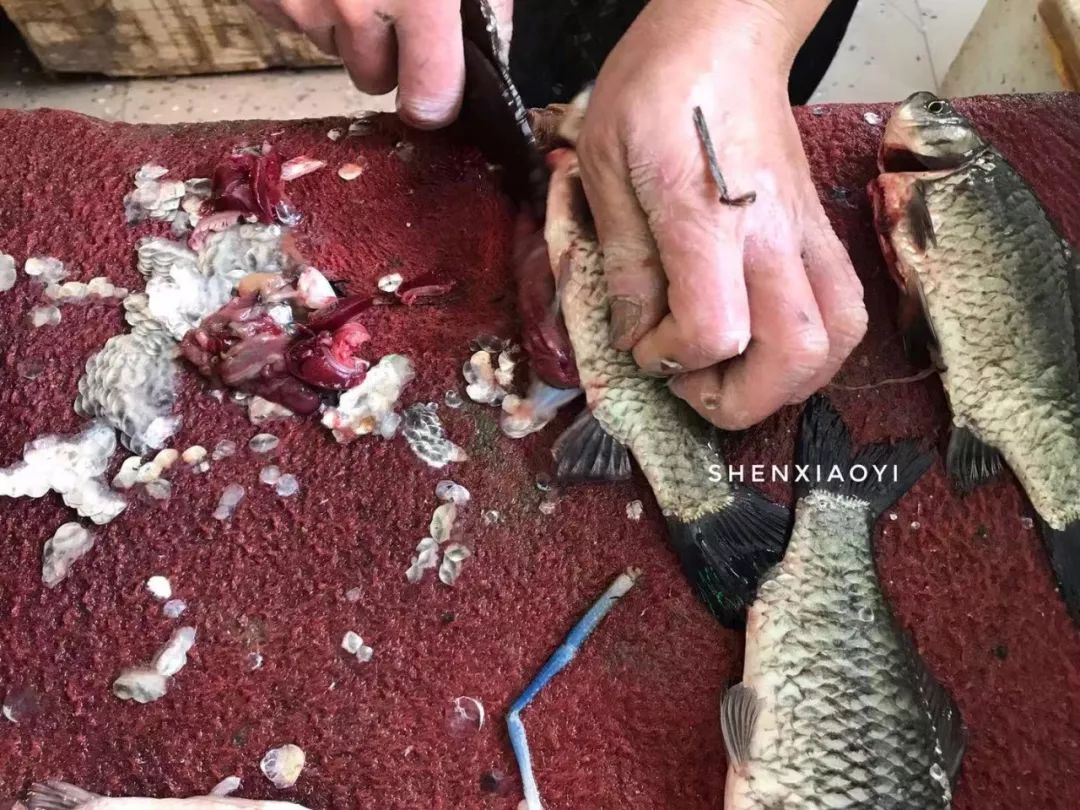 清汤鱼要怎么煮汤才会白,如何让鱼煮得更白汤