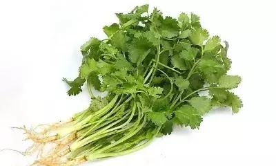 网评最难吃的水果,全网最难吃的蔬菜