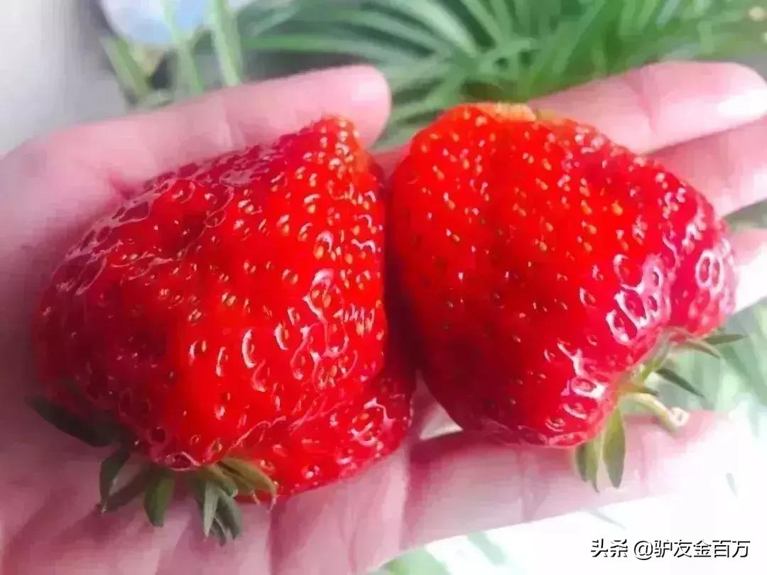 辽宁省灯光秀,辽宁省朝阳市大凌河灯光秀