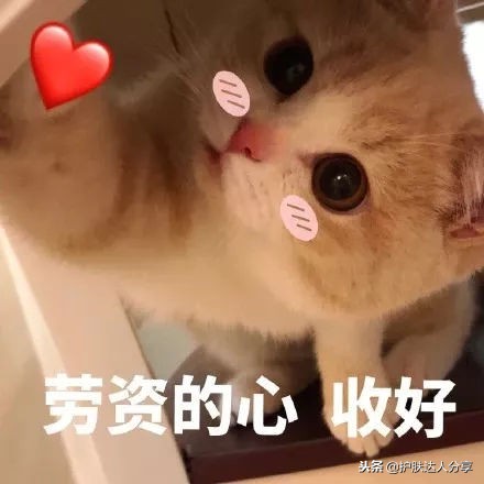 精致高端款耳饰品牌,高品质韩版精致耳饰