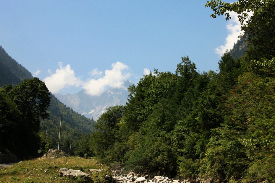 米亚罗-大美理礼县