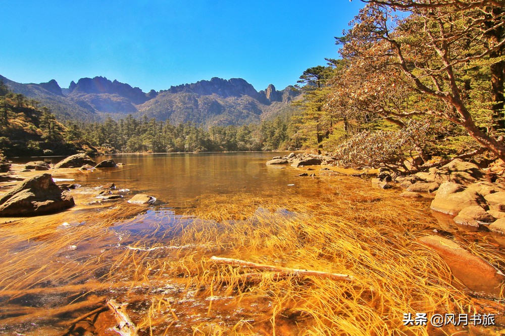 西昌山火肆虐过后救火者,西昌木里救火英雄
