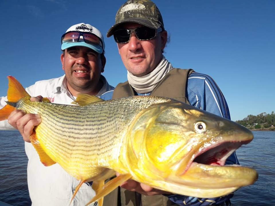 27公分的黄金河虎,黄金河虎凶猛吗