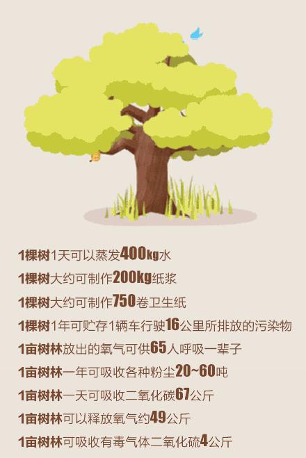 植树节播种绿色希望收获美好未来,植树节爱绿护绿文明有我