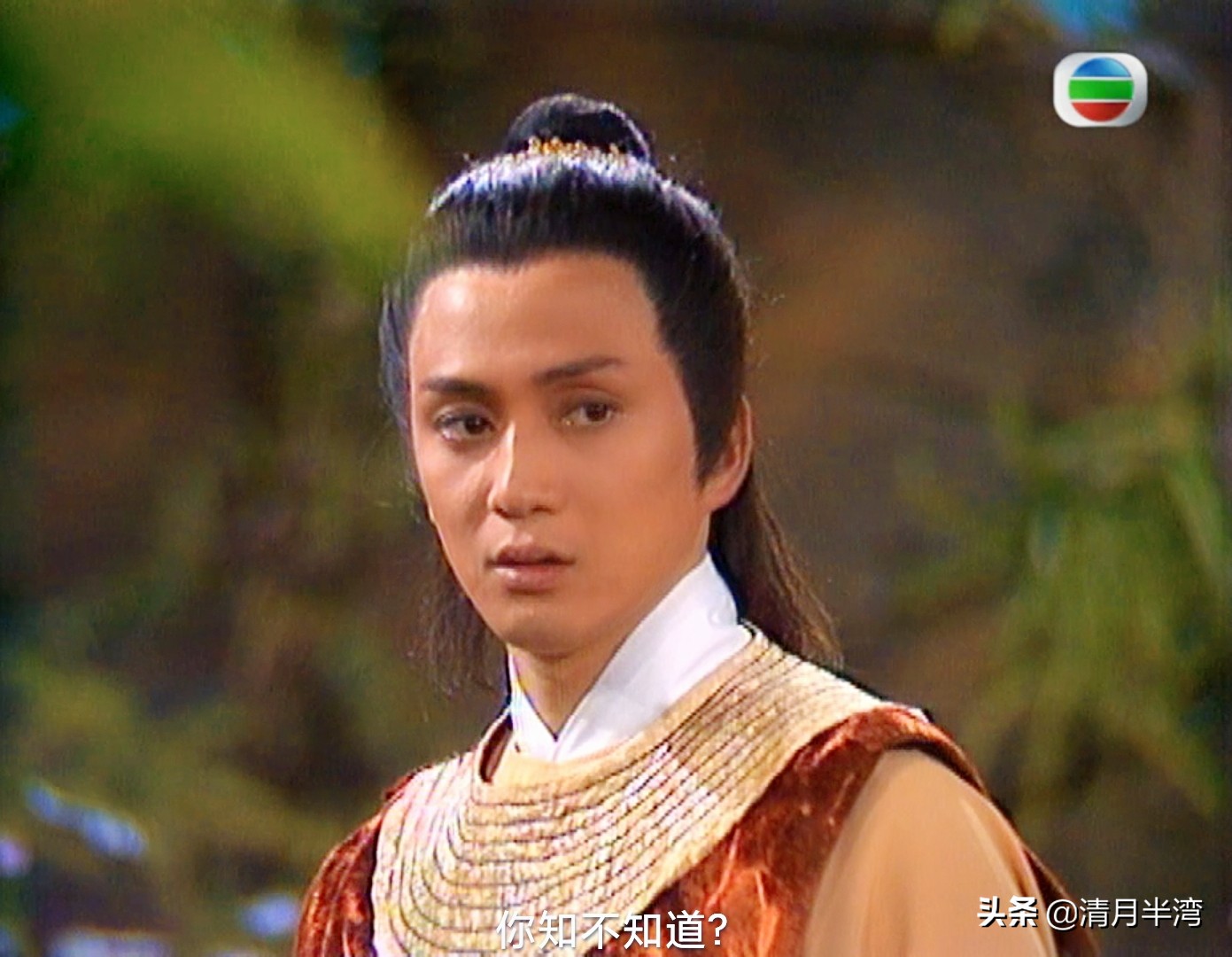 香港古装剧最帅男主角,港台剧十大最帅古装角色