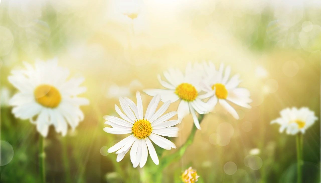 2019高考语文必备120个文言文,高考必考文言解读