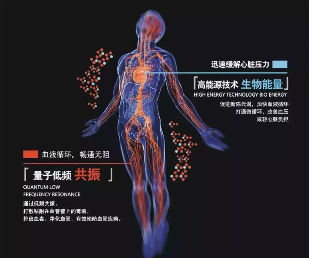 三域高频布朗能量腰带多少钱,三域高频布朗如何加盟