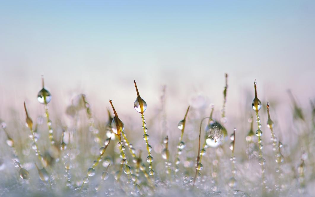 自然之美楷书,自然之美野性之美