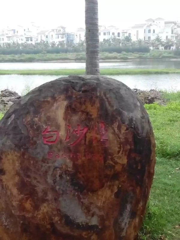 一个人在海边玩一天,一个人在海边怎么玩